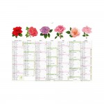 Calendrier Mural 2025 - 13 Mois - 22 x 29.5 cm - Motifs Fleurs