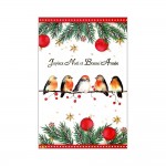 Carte De Voeux - Joyeux Noel Bonne Anne 5 Oiseaux Rouge Gorge Sur Une Branche